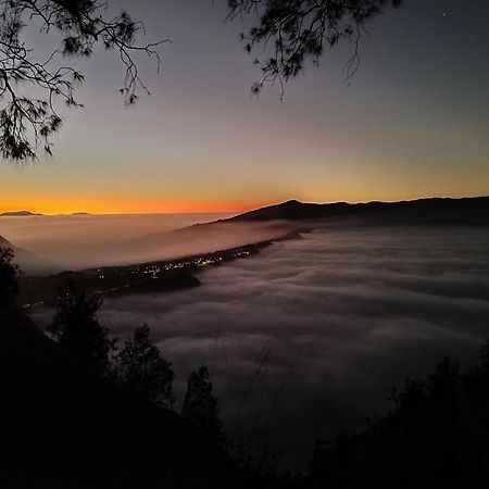 Uciek Tengger Bromo Ngadisari Exteriör bild
